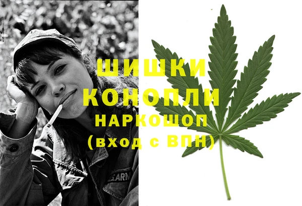 мдпв Семилуки