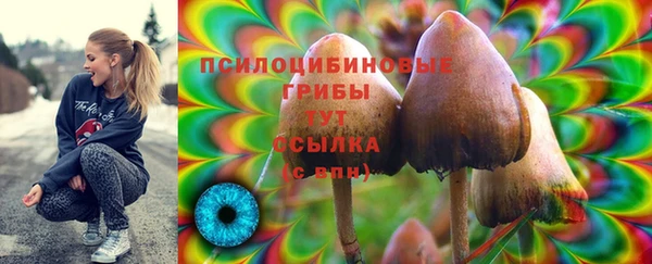 apvp Лагань