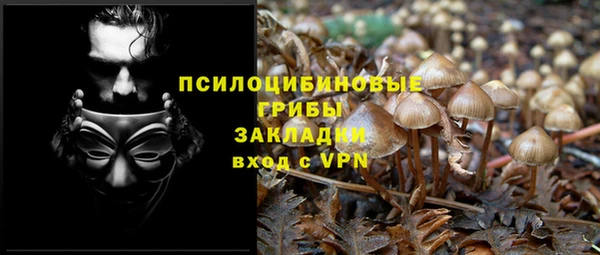 мдпв Семёнов
