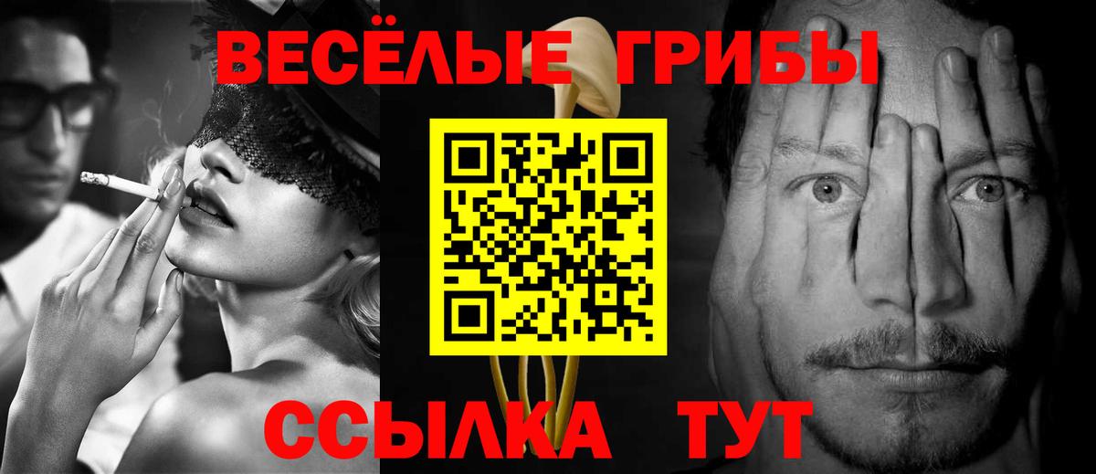 Галлюциногенные грибы Psilocybine cubensis  Псилоцибиновые грибы MAGIC MUSHROOMS  Кинешма  Вход с VPN 