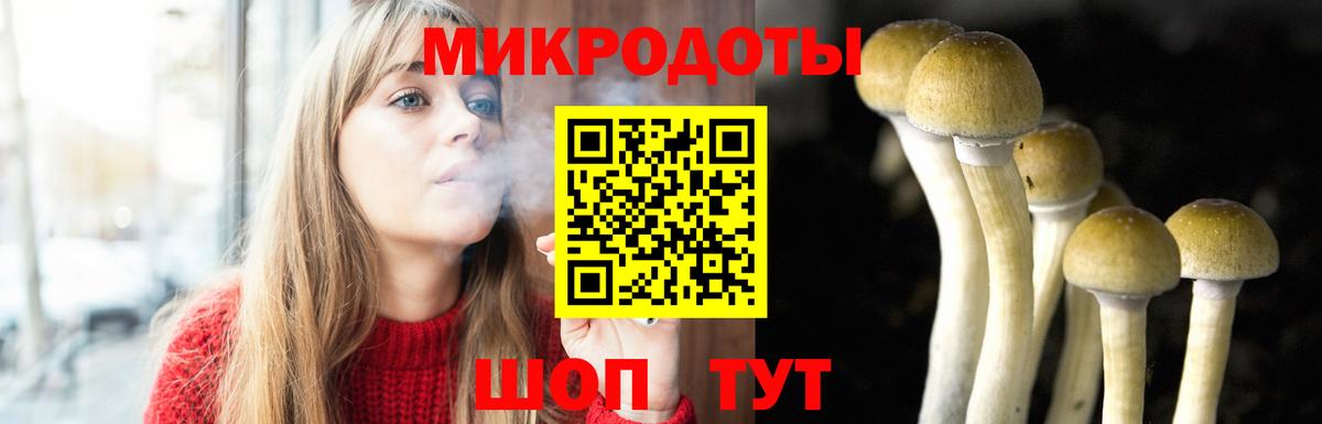 Псилоцибиновые грибы мухоморы Кинешма